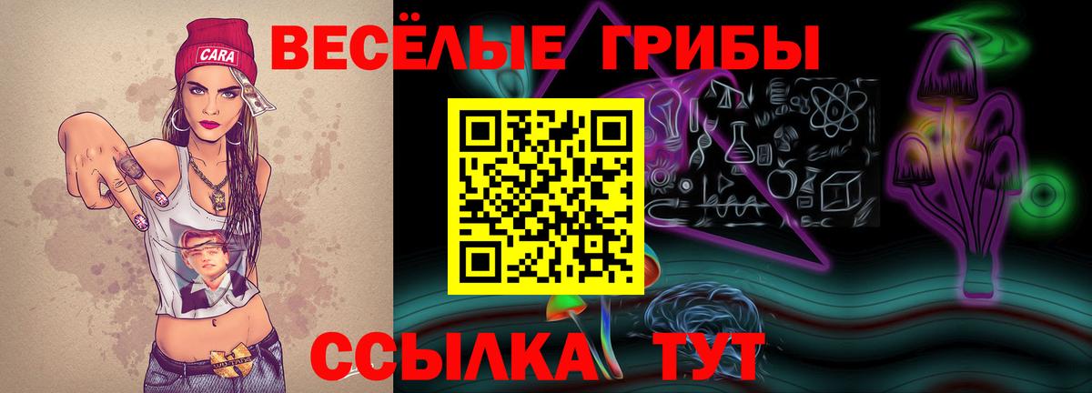 Псилоцибиновые грибы Psilocybine cubensis Шарыпово
